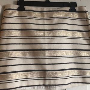 J Crew Skirt